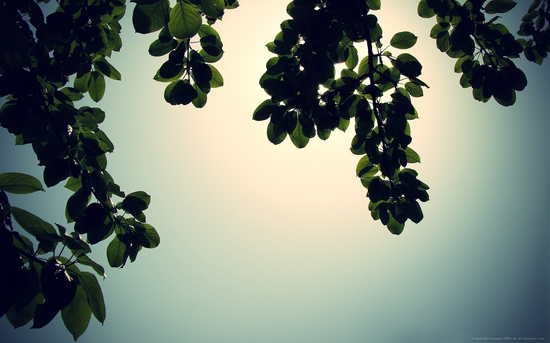 有没有一首诗能表达自己被忽略的心情。-我想