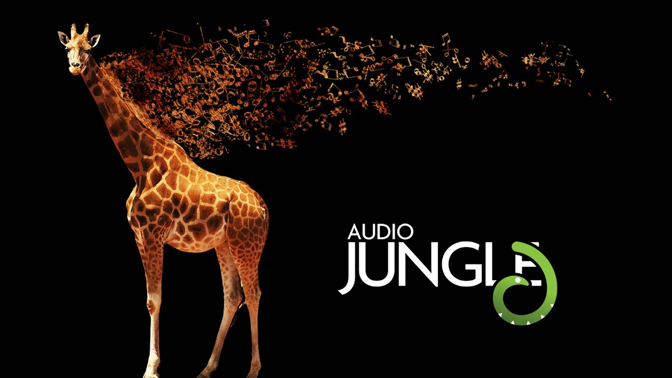 Download this Audio Jungle picture