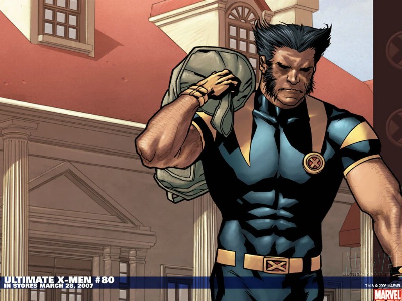 壁纸800×600Marvel 漫画角色壁纸 第十二辑 M