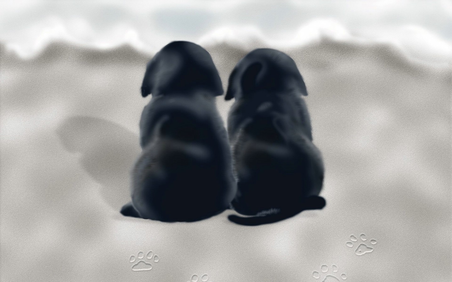 壁纸1440×900背影成双 Painter 手绘小狗图片