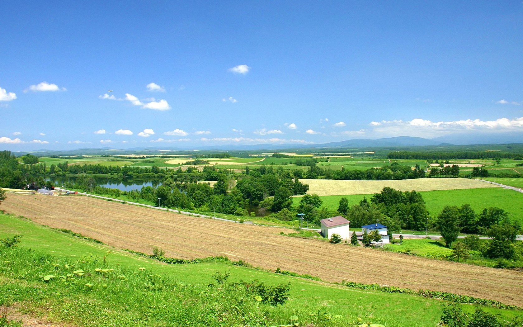 壁纸1680×1050北海道郊外田园壁纸壁纸,北海