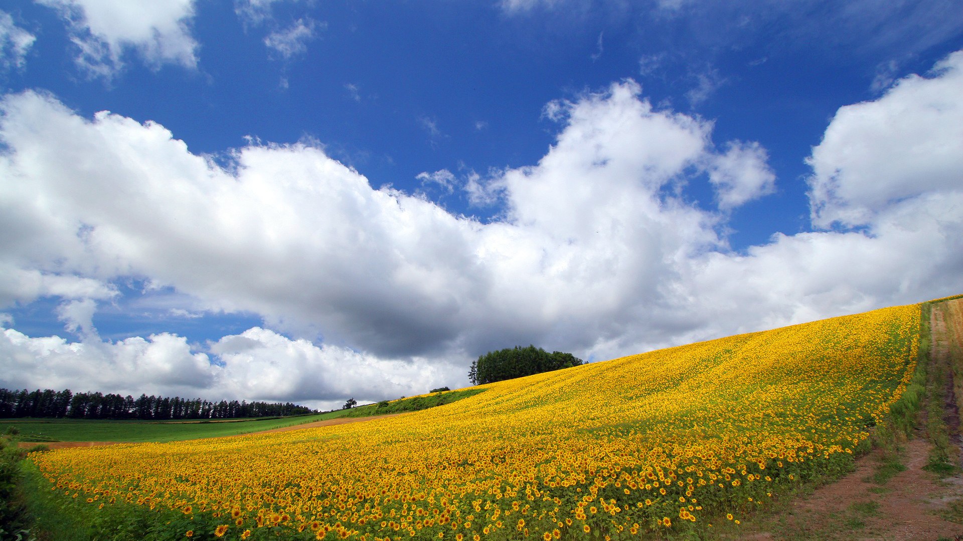 北海道田园风景壁纸 北海道风景壁纸 北海道风景桌面壁纸 日本北海道风景 Www Dingjisc Com