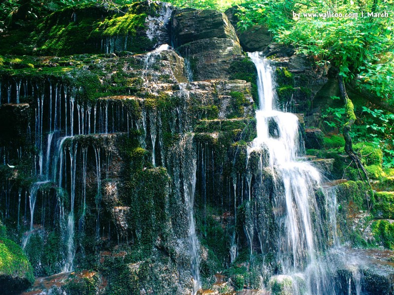 壁纸800×600春季主题壁纸 <em>春意盎然</em> 春天气息