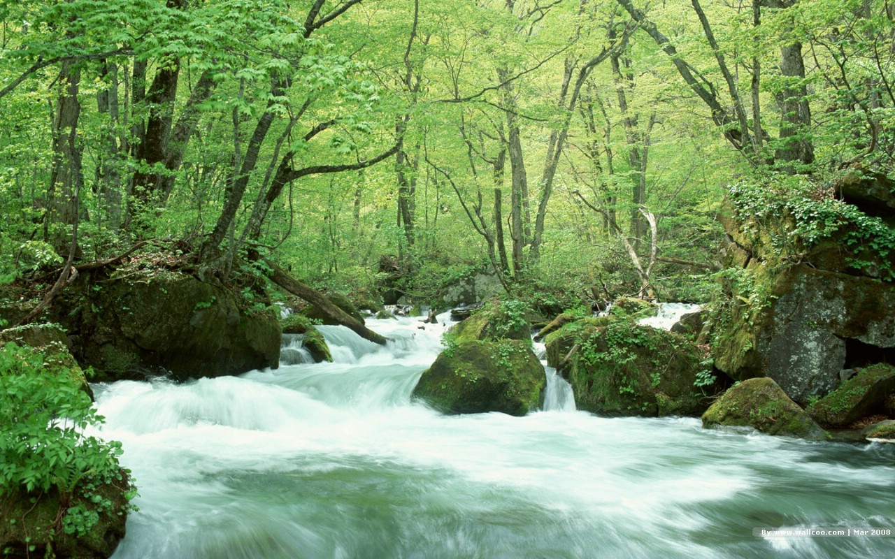 春天的图片 春季主题壁纸 Nature Scene in Spr