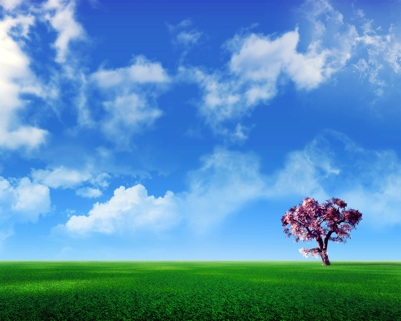 36张 电脑CG风景 Digital Landscape Photo ma