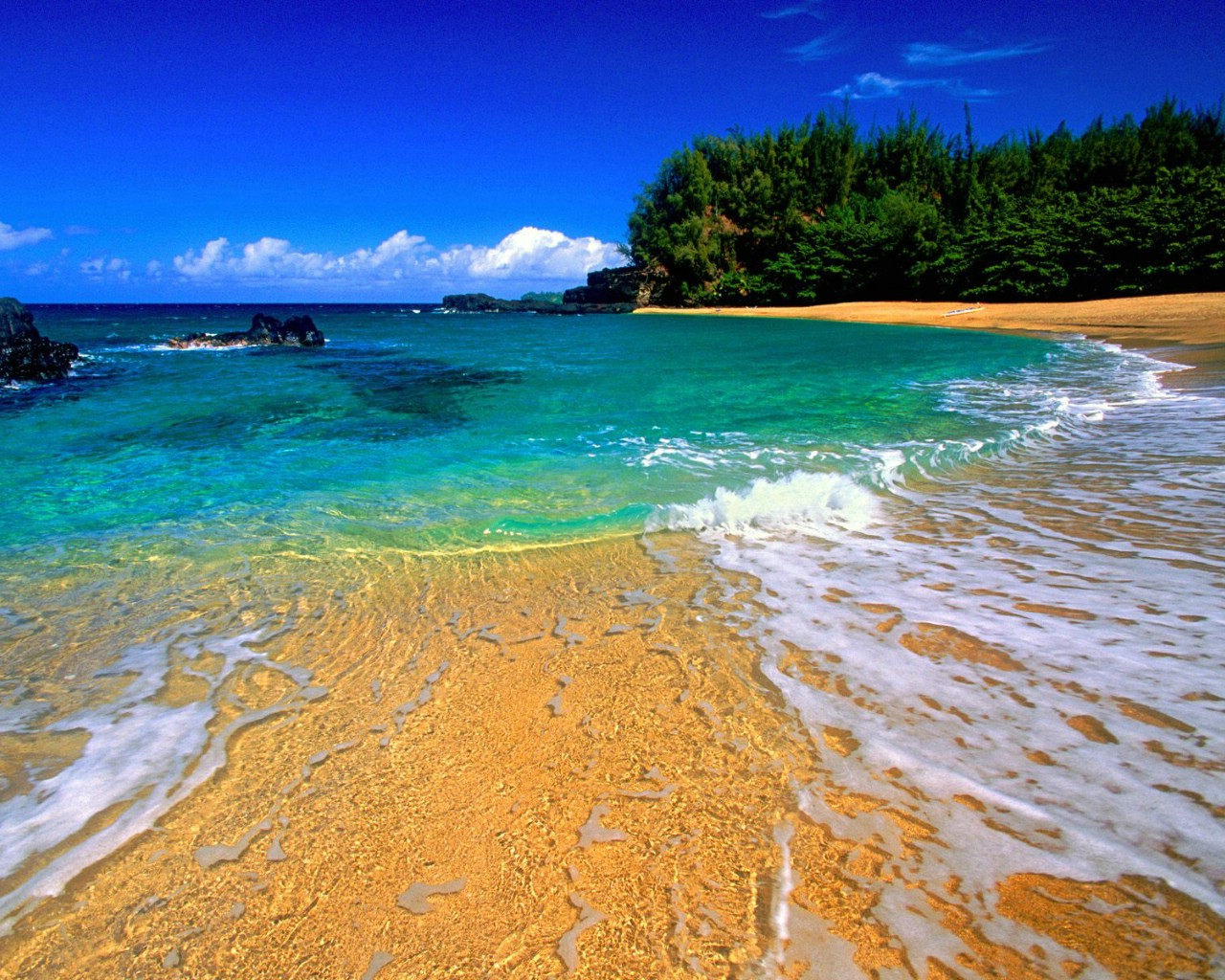 夏威夷毛伊岛的卡纳帕利海滩和度假酒店照片摄影图片_ID:149577819-Veer图库