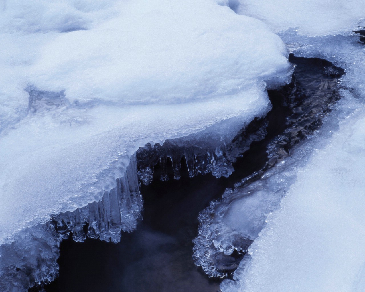 覆盖着白雪的松树林的冬季风景大自然图片下载 - 觅知网