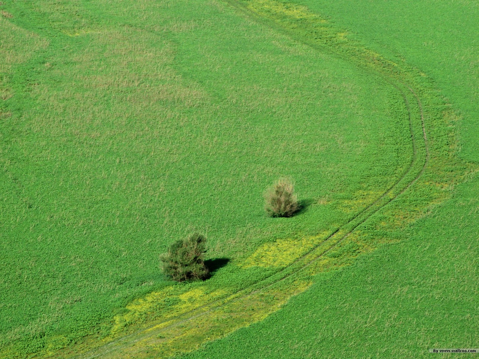 壁纸1600×1200感受大自然 人与自然主题壁纸