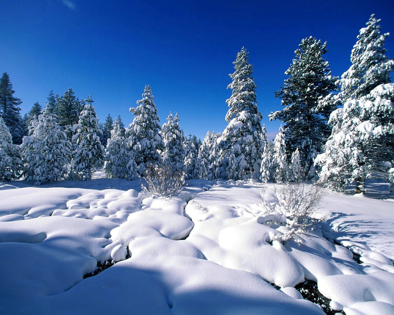 浪漫雪景(风景手机动态壁纸) - 风景手机壁纸下载 - 元气壁纸