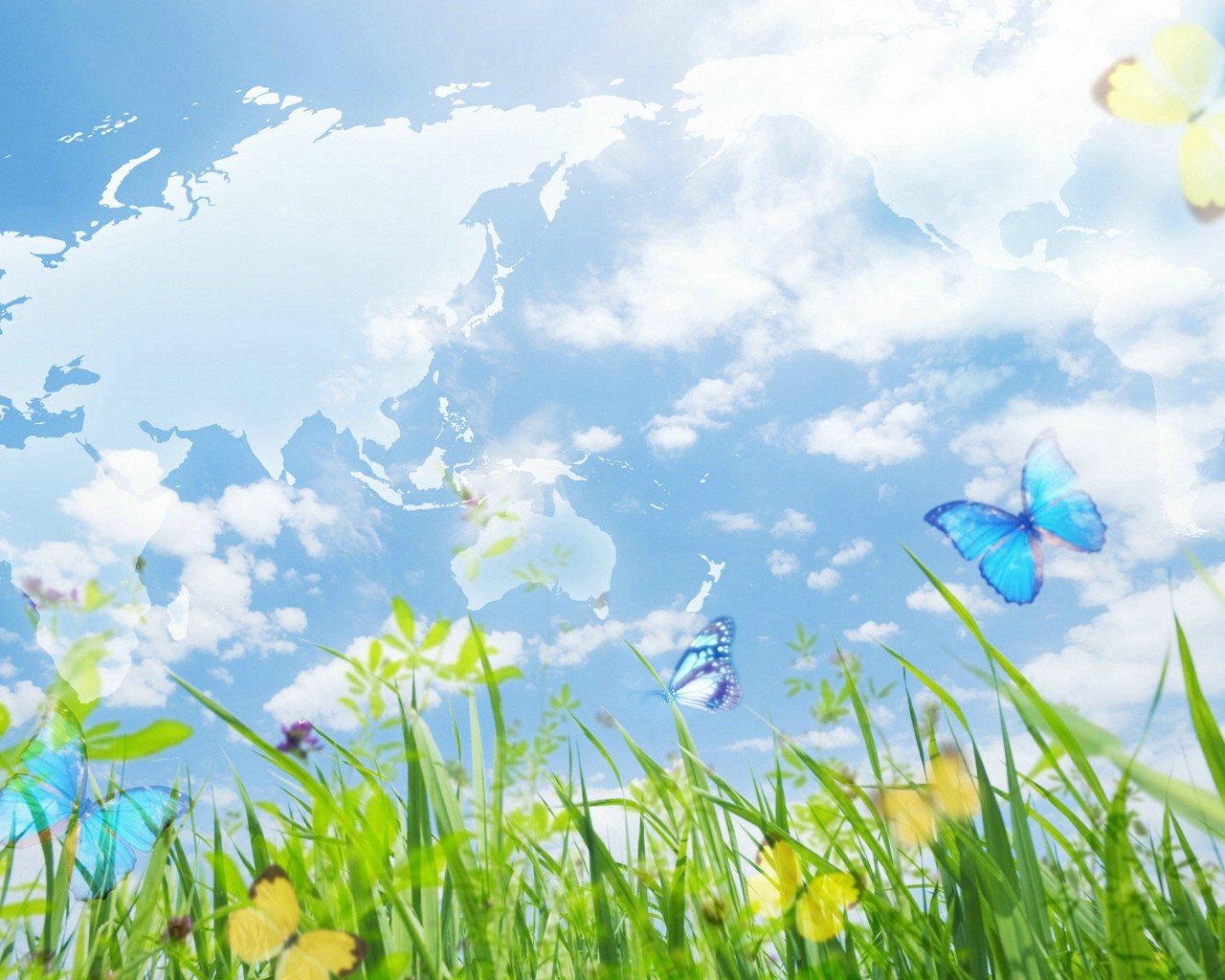 蓝天白云 草地 蝴蝶 清新大自然PS壁纸