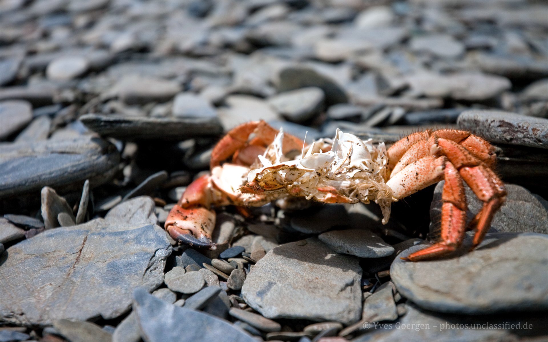 壁纸1920×1200Empty 空壳壁纸,欧洲风景随拍