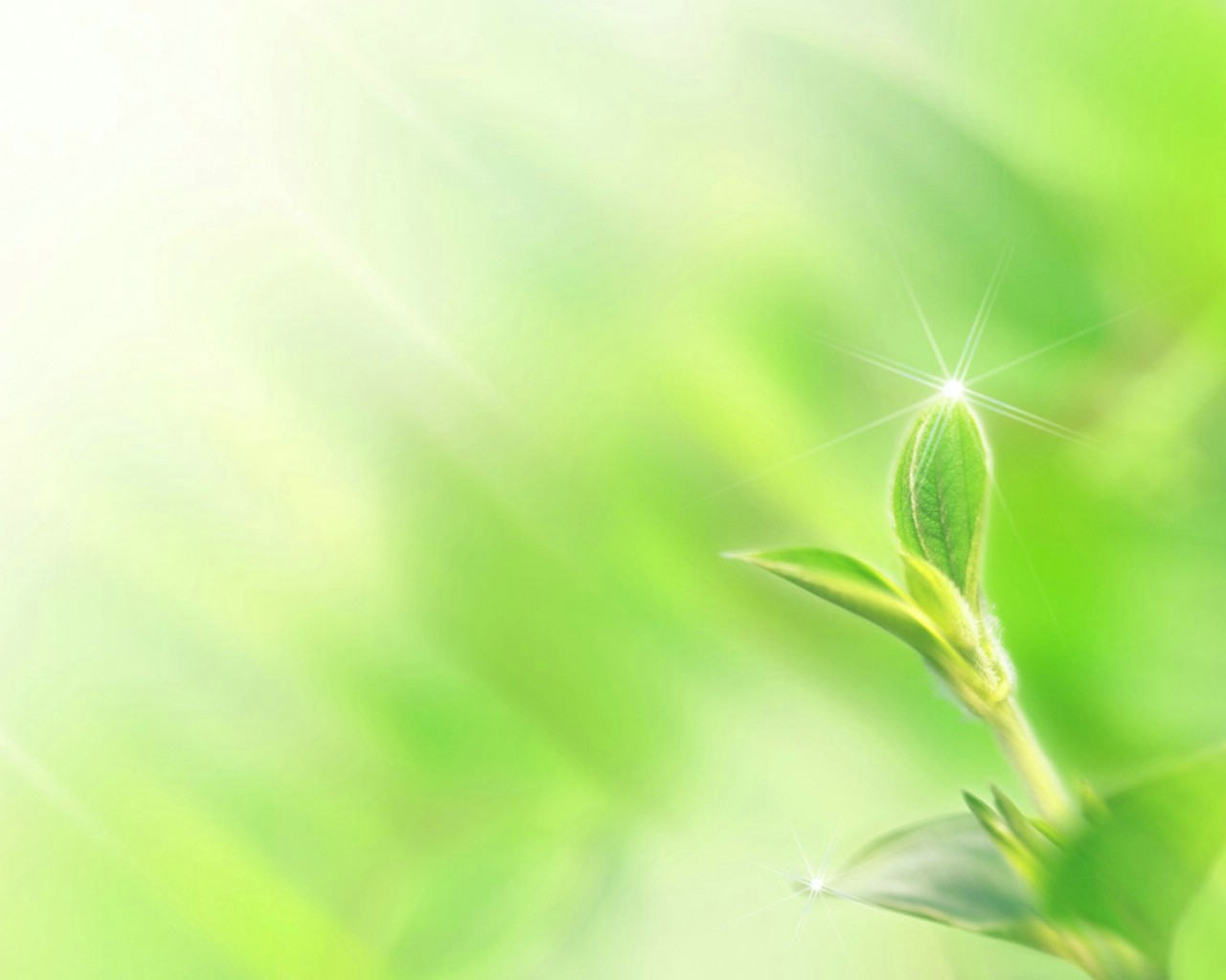 桌面壁纸+风景壁纸