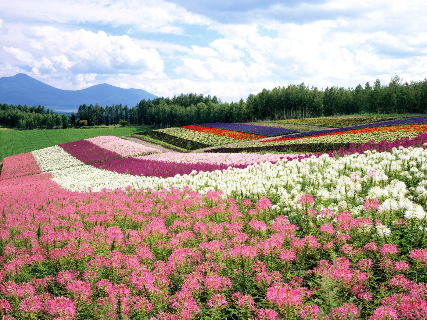 日本北海道旅游风景壁纸,之