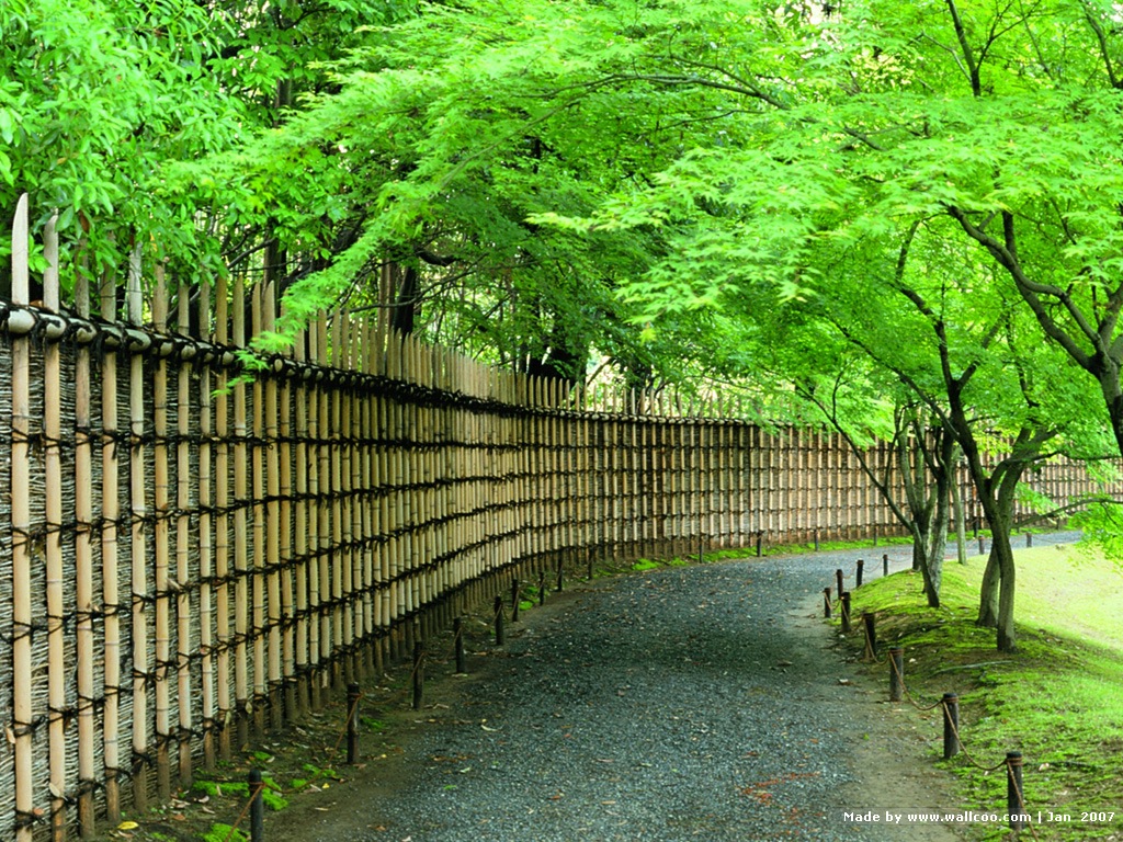 壁纸1024 768日本京都优美景色kyoto Japan Desktop Wallpaper壁纸 日本京都美景壁纸图片 风景壁纸 风景图片素材 桌面 壁纸