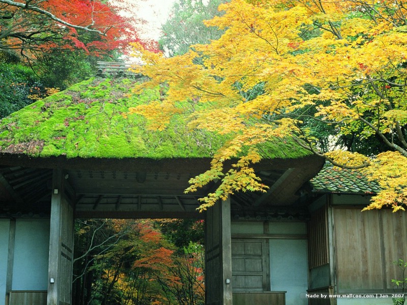 壁纸800 600日本京都优美景色kyoto Japan Desktop Wallpaper壁纸 日本京都美景壁纸图片 风景壁纸 风景图片素材 桌面壁纸