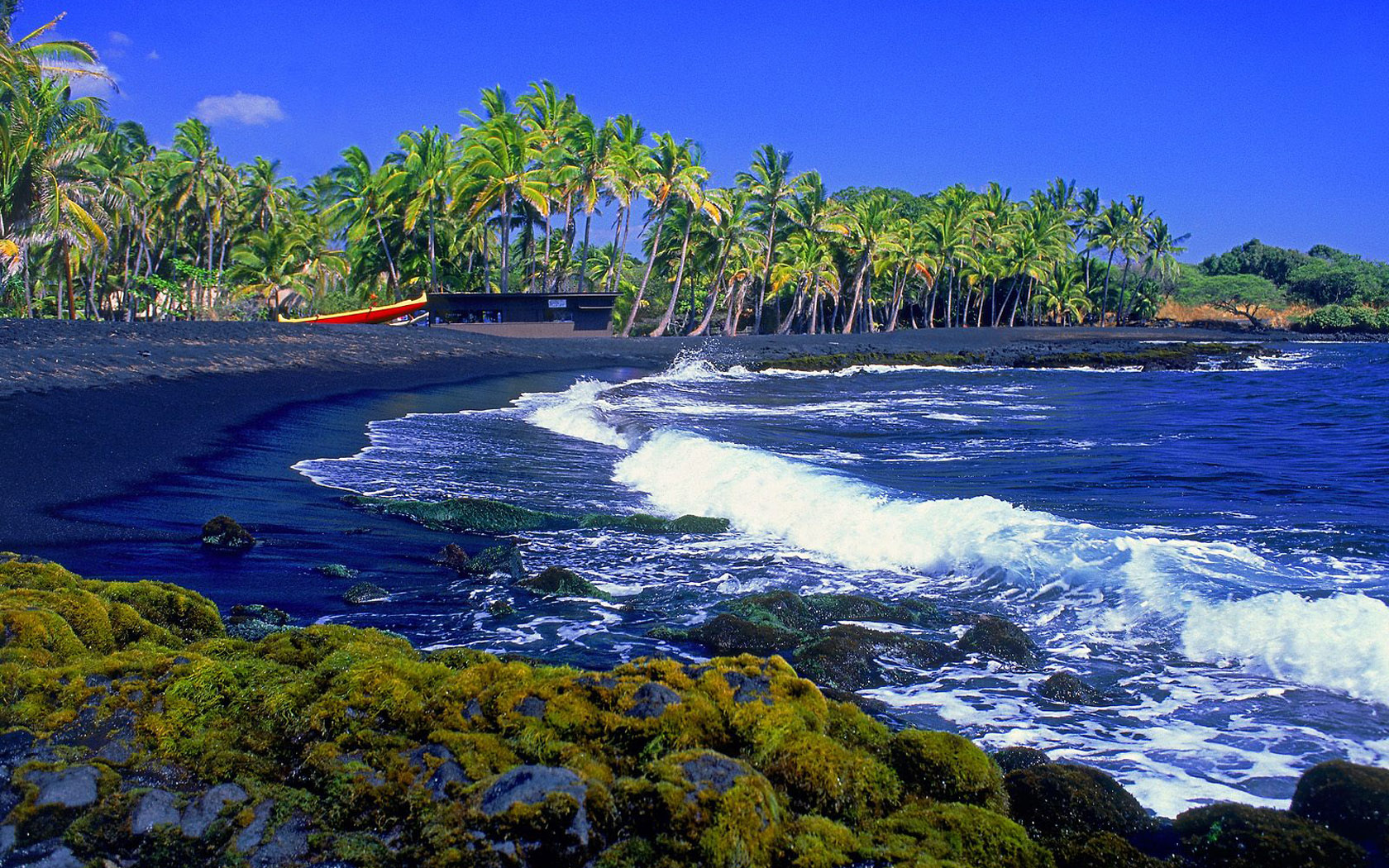 ninole black personals While they are rare, black sand beaches exist all over the world wherever there are volcanoes and where, after a millennia, the waves, rains and winds. ninole black personals While they are rare, black sand beaches exist all over the world wherever there are volcanoes and where, after a millennia, the waves, rains and winds.