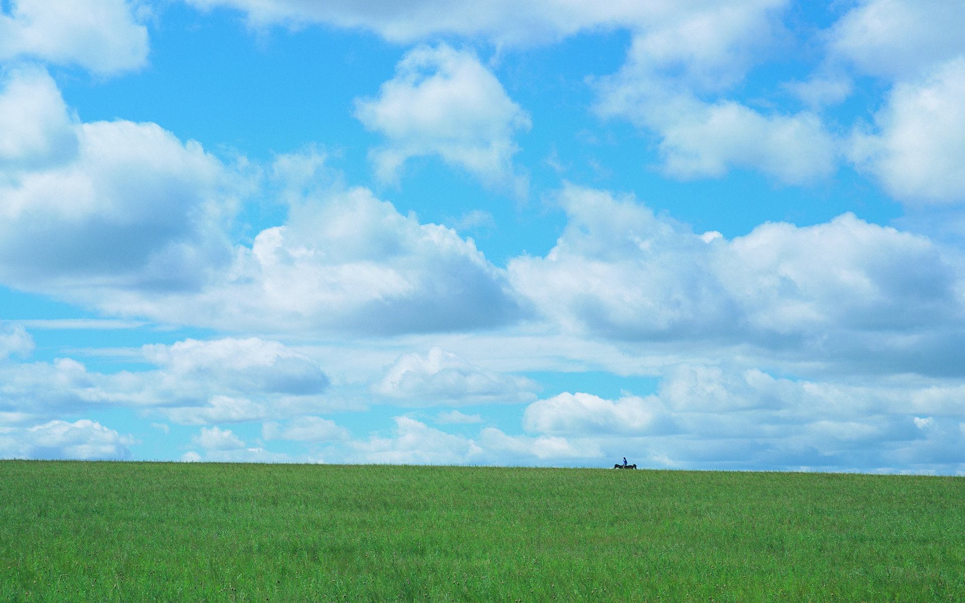 夏日广阔草原风光 广阔无垠的草原风光壁纸图片壁纸