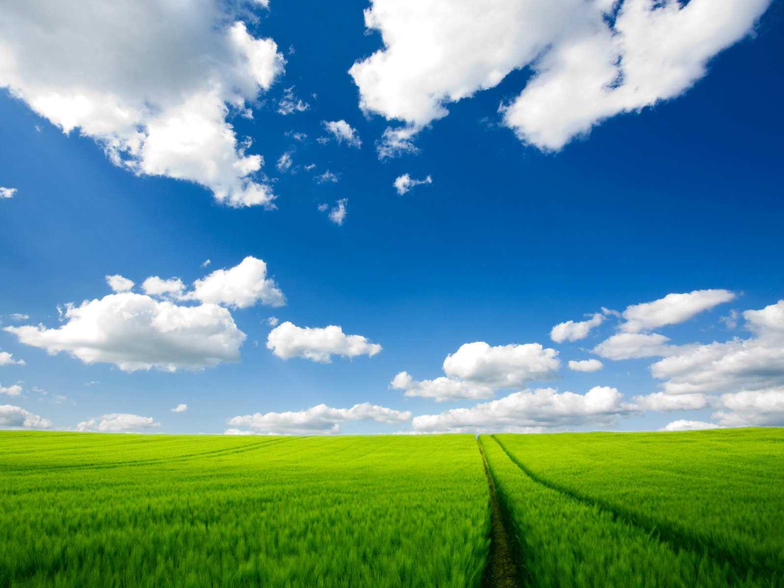 新西兰郊外风景壁纸 新西兰郊外风景 蓝天白云