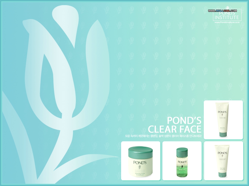 Pond s 旁氏护肤品广告壁纸 Pond s广告设计壁