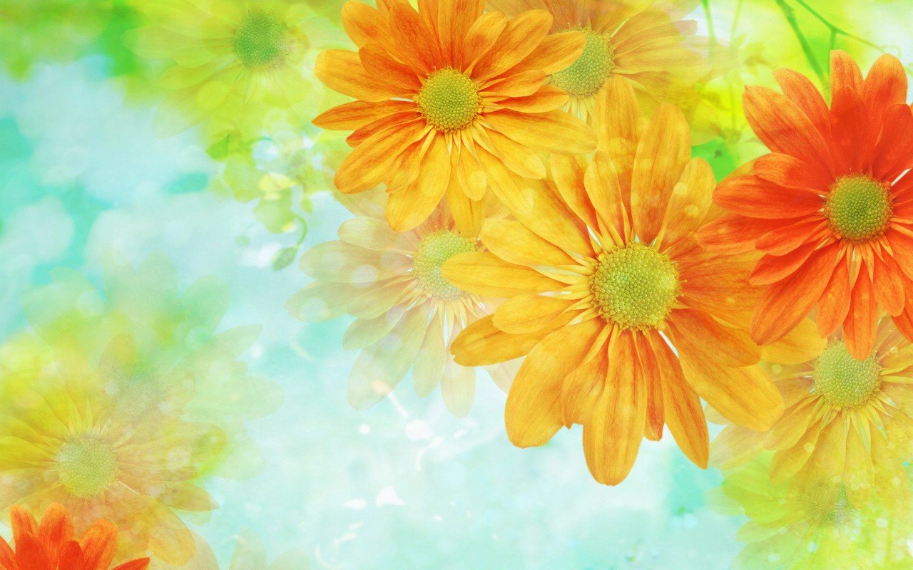 壁纸1280×80086张 7 种尺寸 Digital CG Flowers 梦幻花卉CG Flowers Art desktop壁纸,梦幻