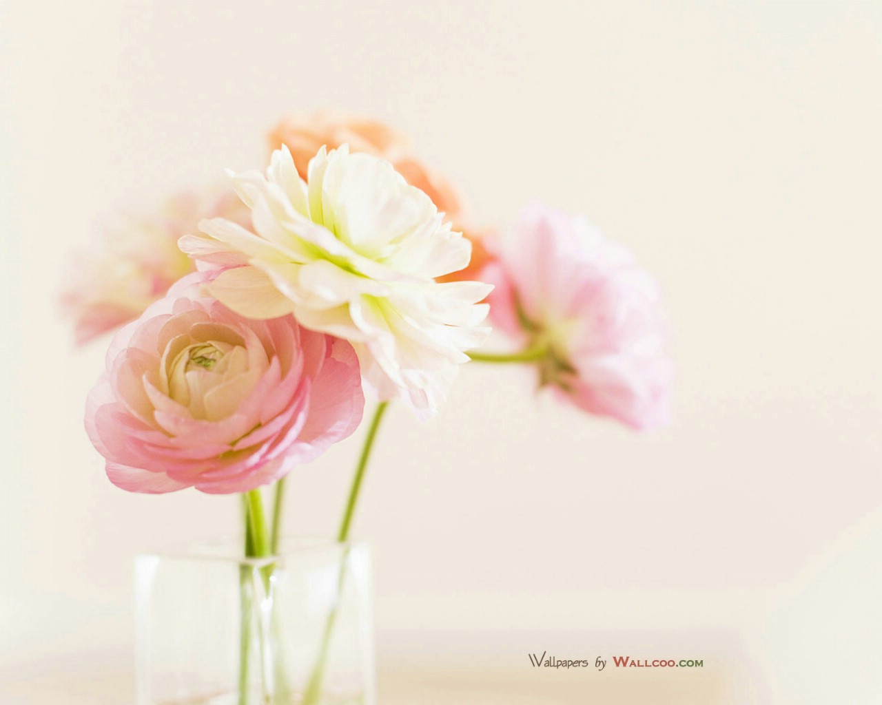 温馨家居插花艺术壁纸图片花卉壁纸花卉图片素