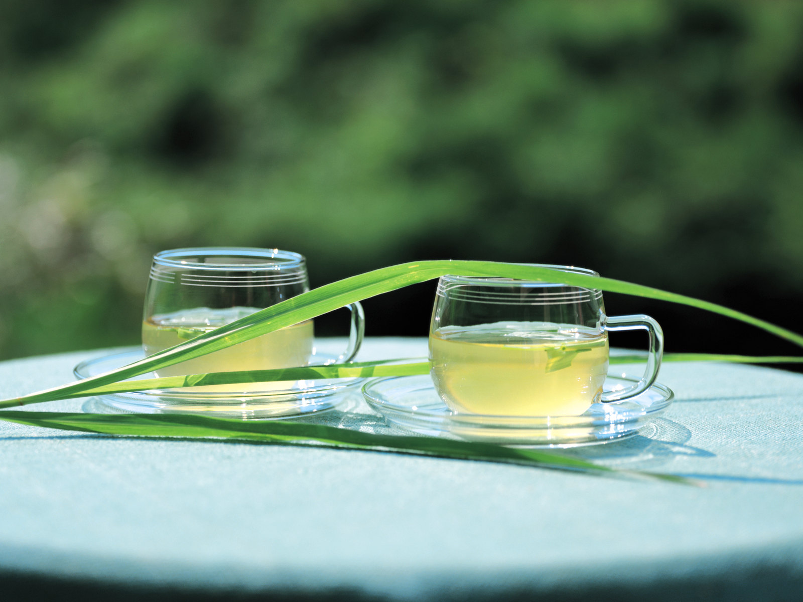 壁纸1600×1200草本生活元素摄影壁纸 花草茶 健康