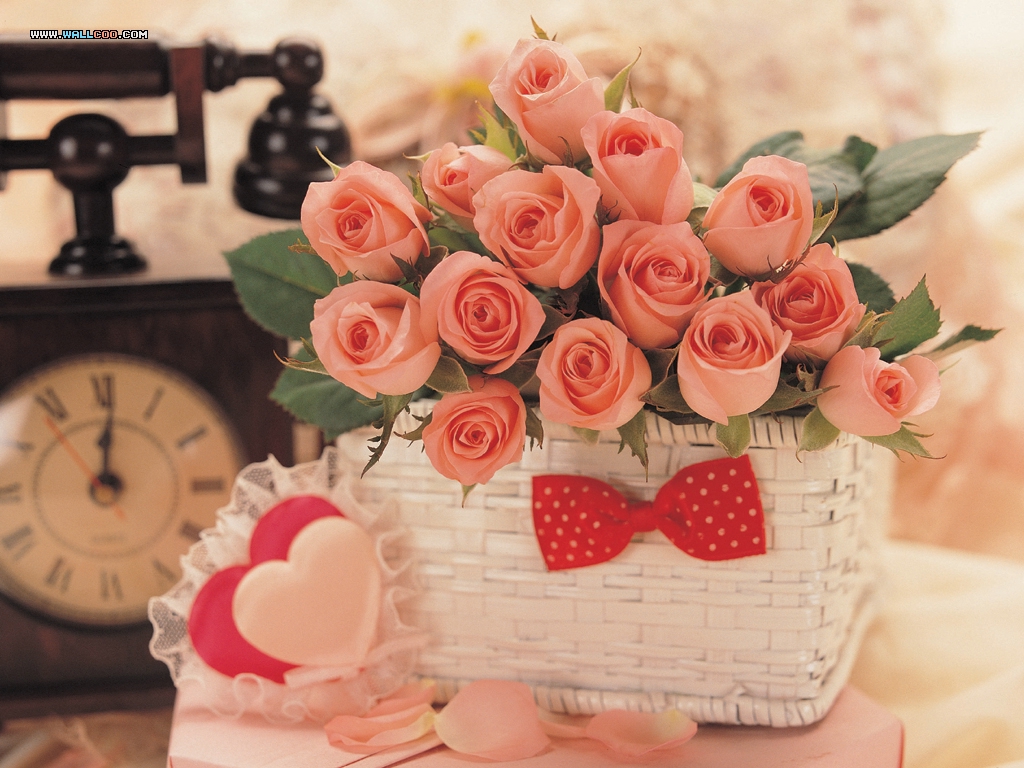 情人节粉红玫瑰花图片 Valentine s Day Flower