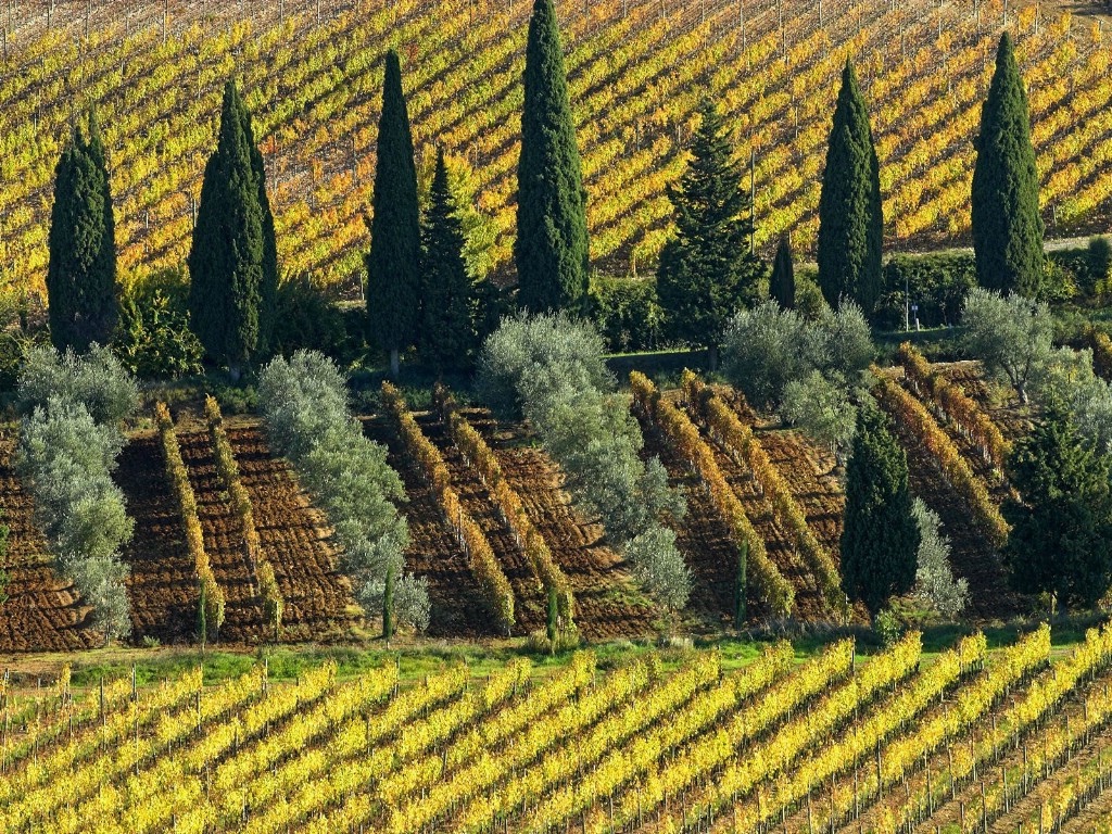 壁纸1024×768意大利托斯卡纳