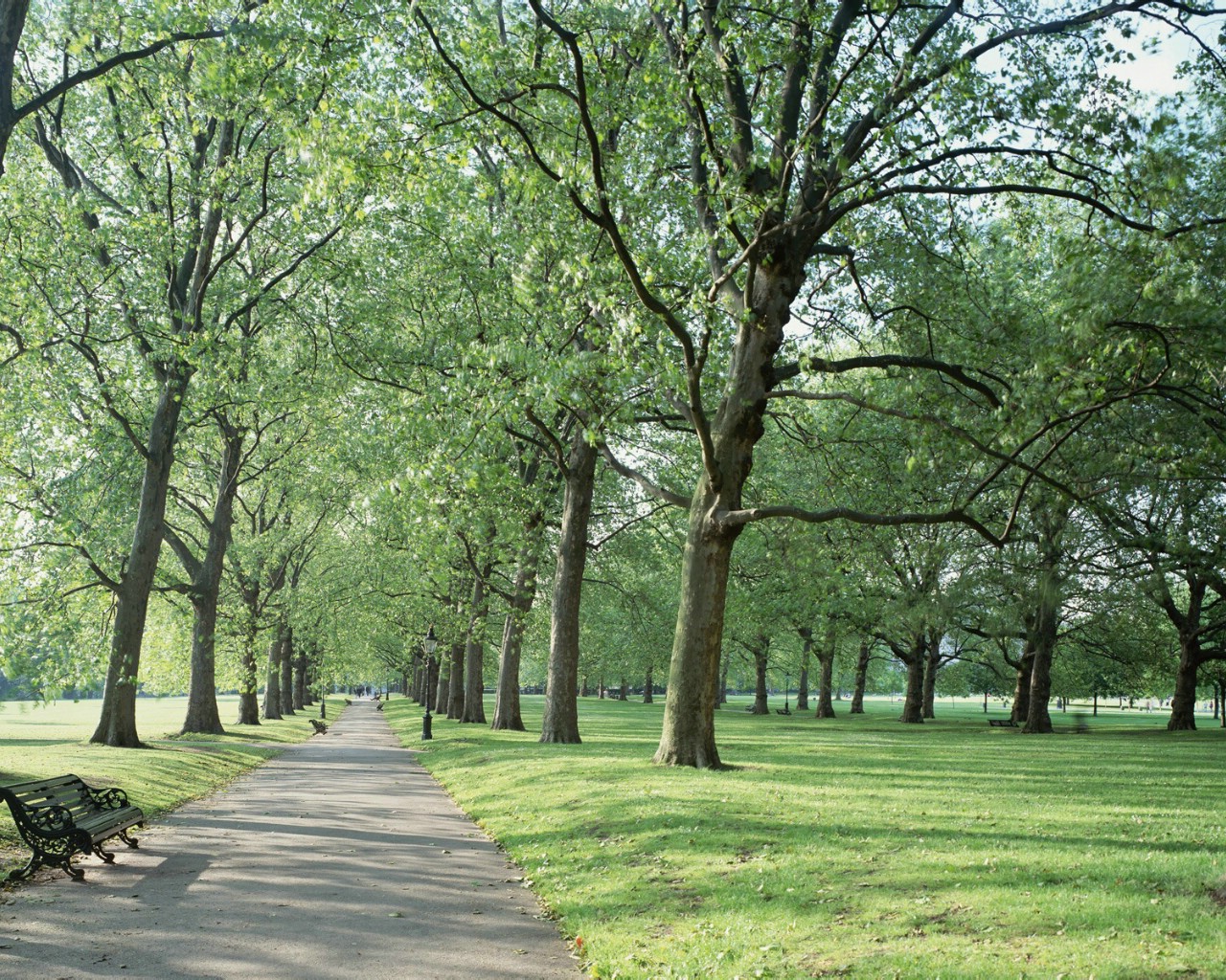 图片[3]_高清视频素材：风景素材参考成品视频_财神笔记
