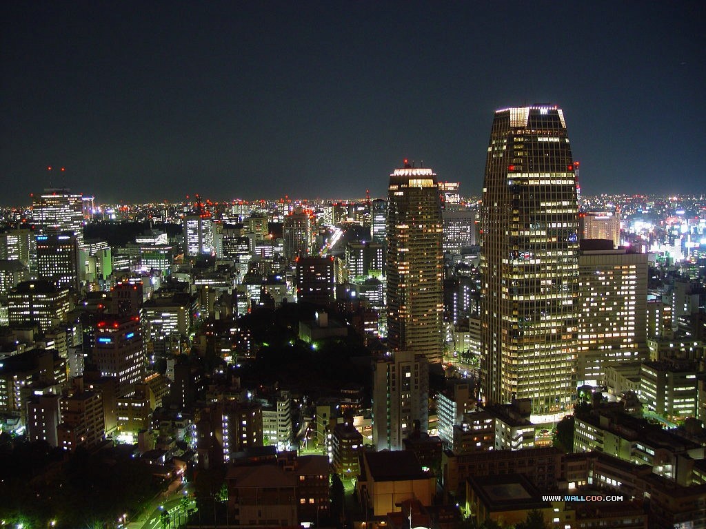 壁纸1024 768鸟瞰东京东京夜景壁纸日本东京夜景摄影japan Tokyo Views From Tokyo Tower壁纸 鸟瞰东京夜景壁纸壁纸 图片 人文壁纸 人文图片素材 桌面壁纸