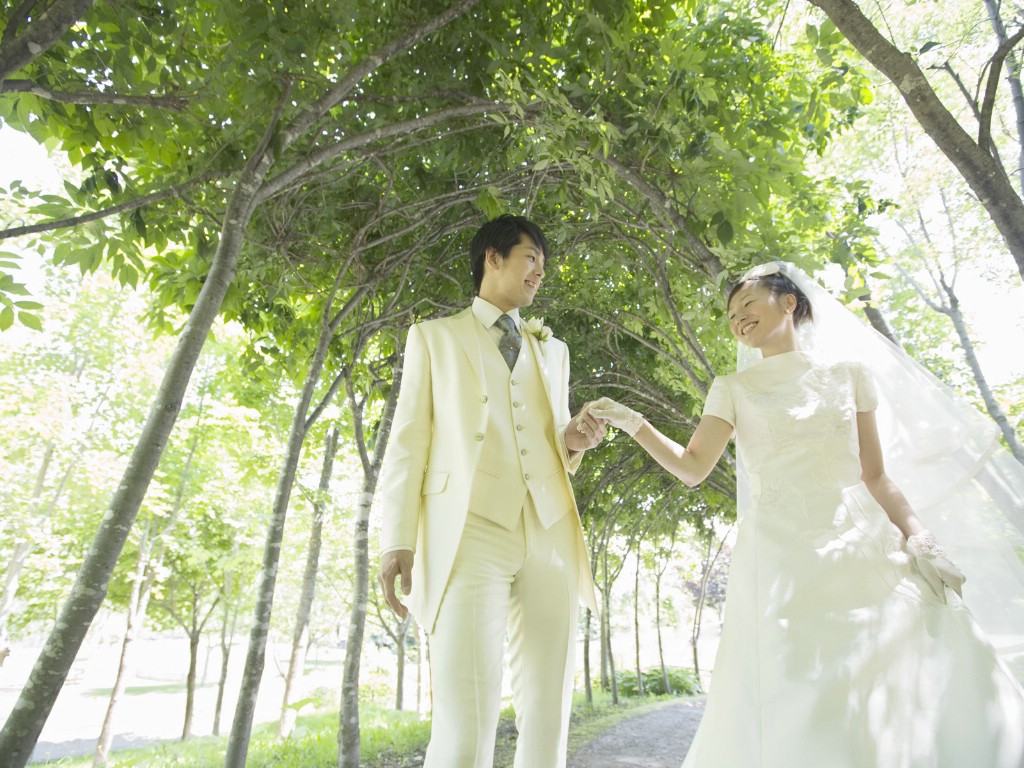 壁纸1024×768幸福小夫妻 公园里呼白色婚礼